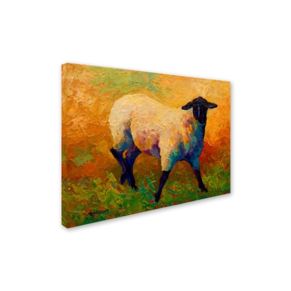 Marion Rose 'Ewe Portrait IV' Canvas Art,35x47